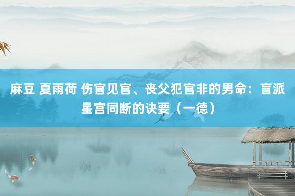 麻豆 夏雨荷 伤官见官、丧父犯官非的男命：盲派星宫同断的诀要（一德）