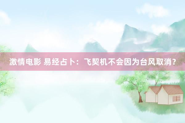 激情电影 易经占卜：飞契机不会因为台风取消？