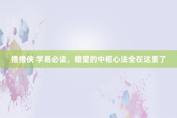 撸撸侠 学易必读，瞻望的中枢心法全在这里了