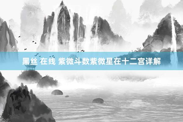 黑丝 在线 紫微斗数紫微星在十二宫详解