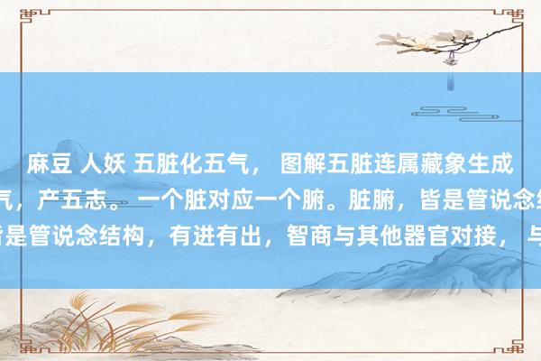 麻豆 人妖 五脏化五气， 图解五脏连属藏象生成。 东说念主有五脏化五气，产五志。 一个脏对应一个腑。脏腑，皆是管说念结构，有进有出，智商与其他器官对接， 与外环境发生联系。