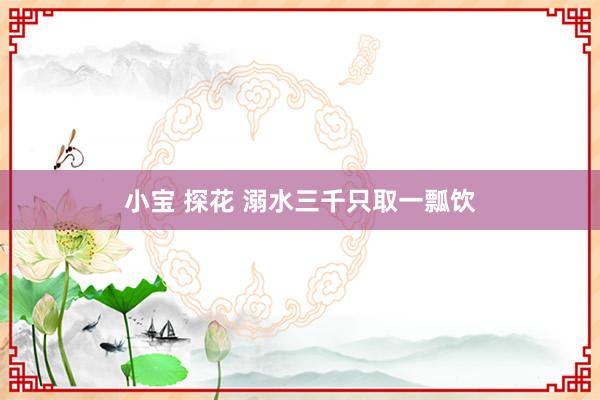 小宝 探花 溺水三千只取一瓢饮