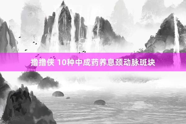 撸撸侠 10种中成药养息颈动脉斑块