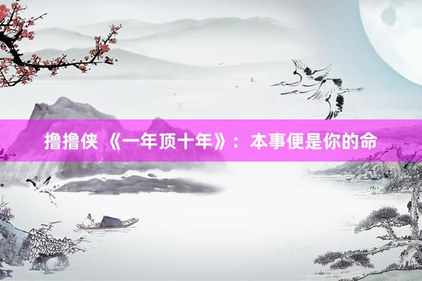 撸撸侠 《一年顶十年》：本事便是你的命