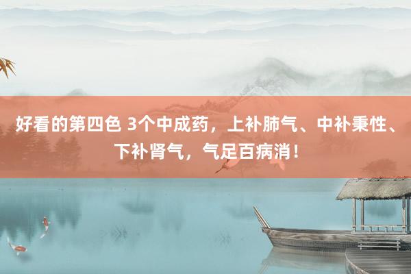 好看的第四色 3个中成药，上补肺气、中补秉性、下补肾气，气足百病消！