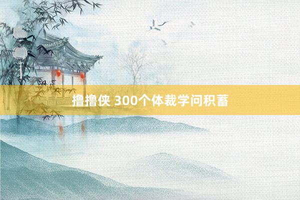 撸撸侠 300个体裁学问积蓄