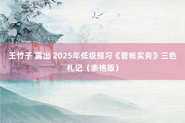 王竹子 露出 2025年低级预习《管帐实务》三色札记（表格版）